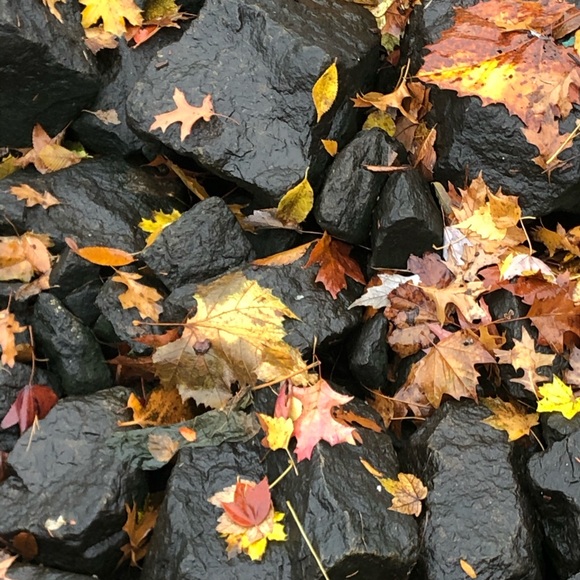 Meet your Posher, Wendy - Picture 1 of 1